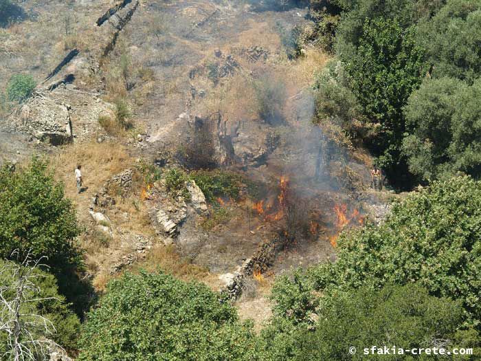 Photo report of forest and bush fires Selino valley, southwest Crete July 2007