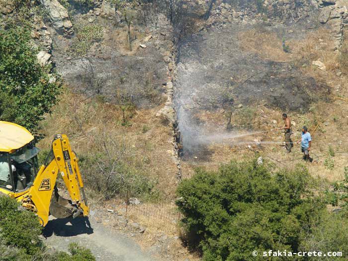 Photo report of forest and bush fires Selino valley, southwest Crete July 2007