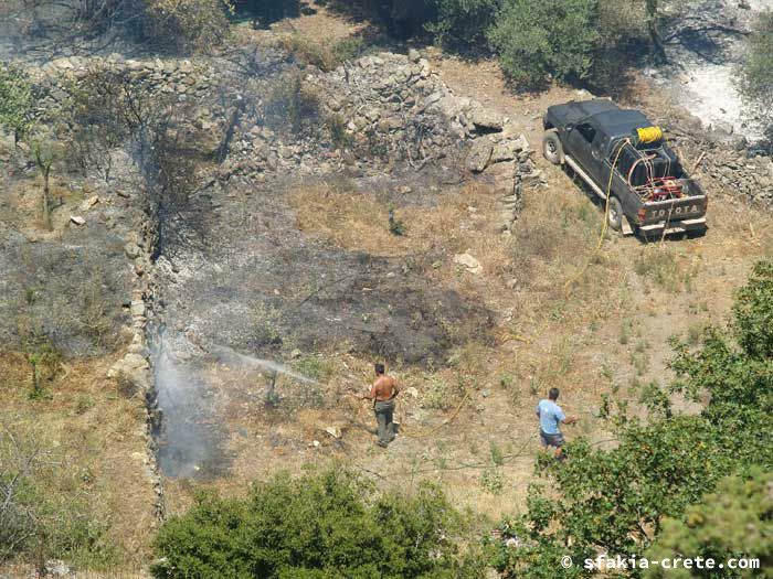 Photo report of forest and bush fires Selino valley, southwest Crete July 2007