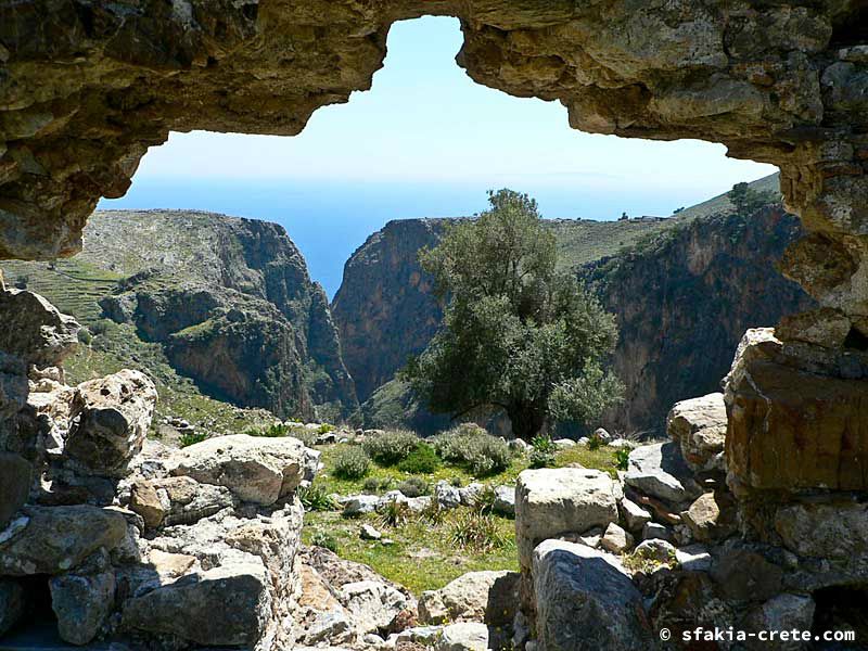 Photo report of a visit to Sfakia in Spring, April 2007