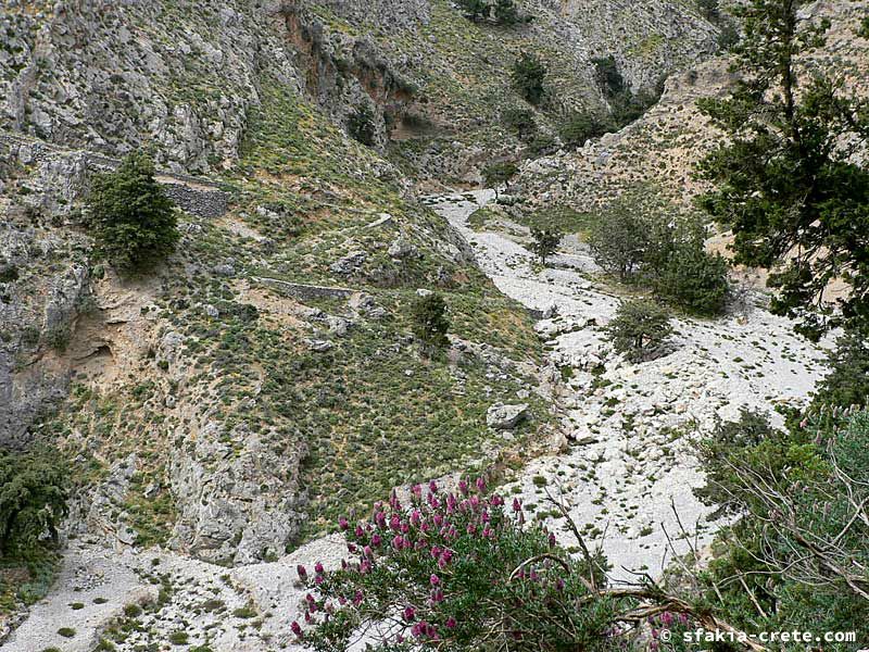 Photo report of a visit to Sfakia in Spring, April 2007