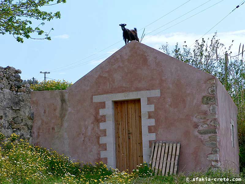 Photo report of a visit to Sfakia in Spring, April 2007