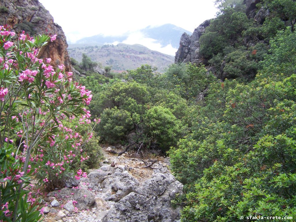 Photo report of a visit to Southwest Crete, May 2007