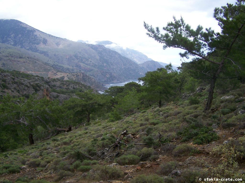 Photo report of a visit to Southwest Crete, May 2007