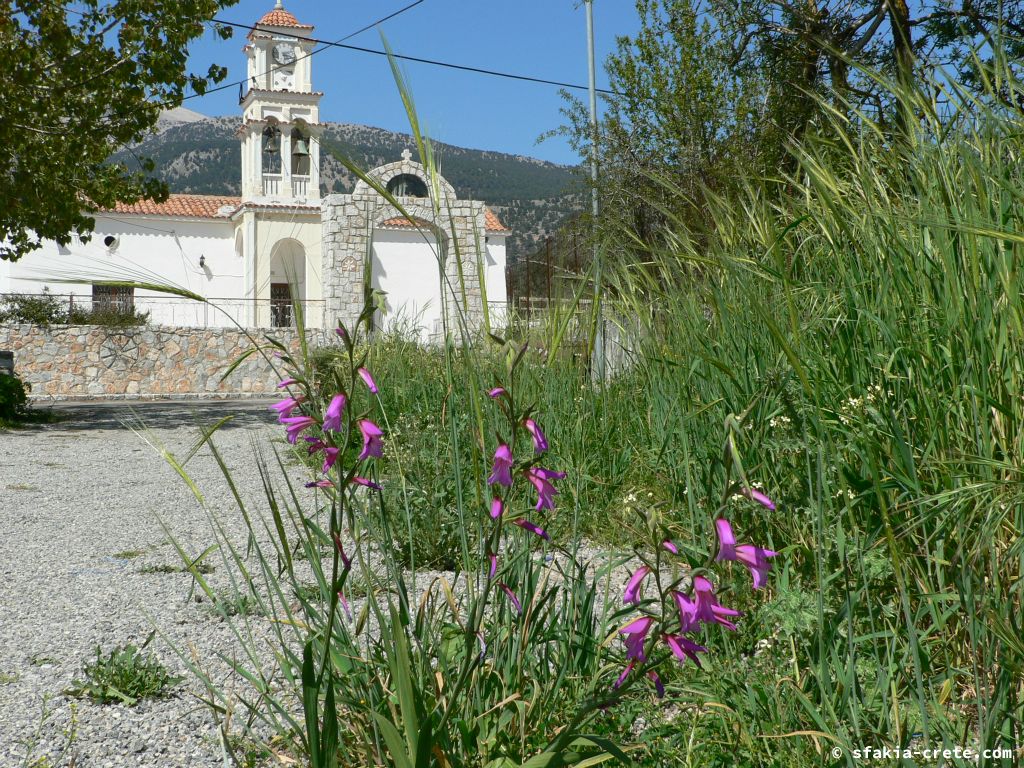 Photo report of Spring in Sfakia, Crete: flowers around Easter, April 2007