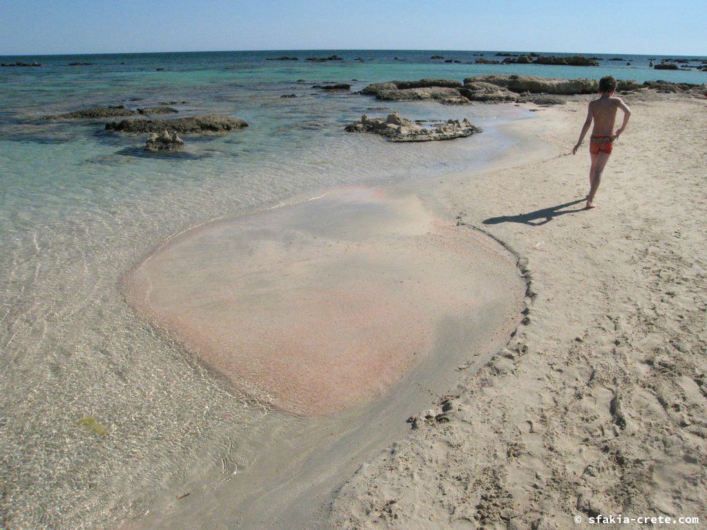 Photo report of a visit to Elafonisi island, southwest Crete, April 2007