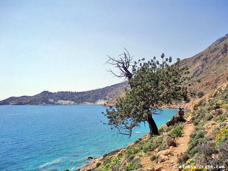 Photo report of a visit to Sfakia, southwest Crete, at Greek Easter, April 2007