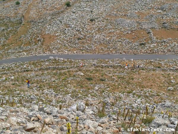 Photo report of a walk around Sfakia, Loutro and Livadiana, southwest Crete, April 2007