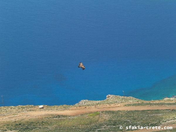 Photo report of a walk around Sfakia, Loutro and Livadiana, southwest Crete, April 2007