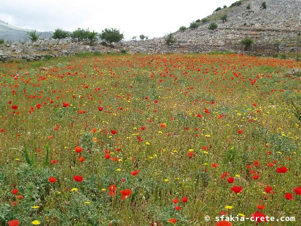 Photo report of a walk around Sfakia, Loutro and Livadiana, southwest Crete, April 2007