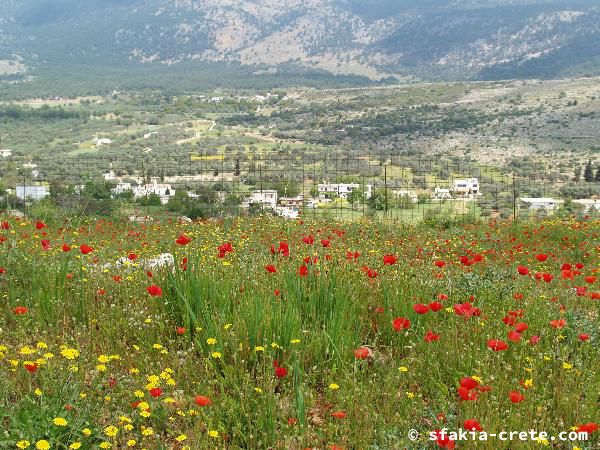 Photo report of a walk around Sfakia, Loutro and Livadiana, southwest Crete, April 2007