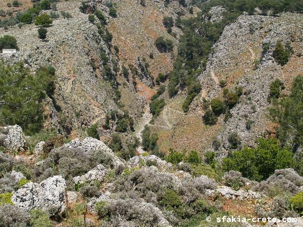 Photo report of a walk around Sfakia, Loutro and Livadiana, southwest Crete, April 2007