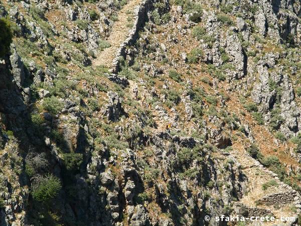 Photo report of a walk around Sfakia, Loutro and Livadiana, southwest Crete, April 2007