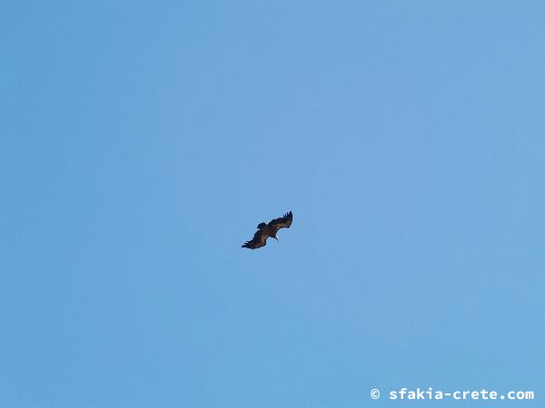 Photo report of a walk around Sfakia, Loutro and Livadiana, southwest Crete, April 2007