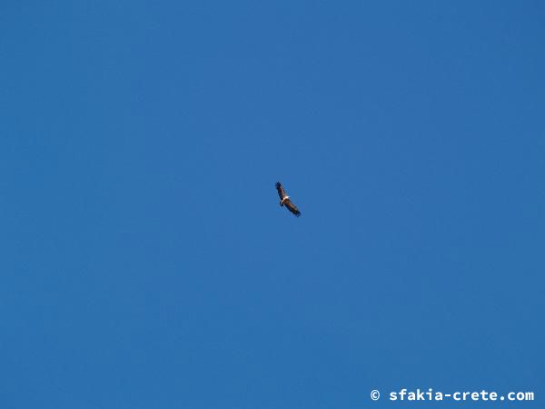 Photo report of a walk around Sfakia, Loutro and Livadiana, southwest Crete, April 2007