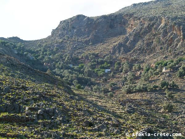 Photo report of a walk around Sfakia, Loutro and Livadiana, southwest Crete, April 2007
