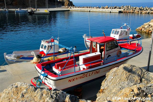 Photo report of a trip around Sfakia, Crete, May 2006