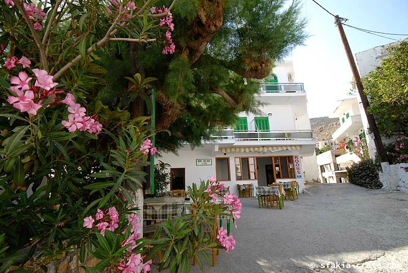 Photo report of a visit to Sfakia, Crete, May 2006 - part 2