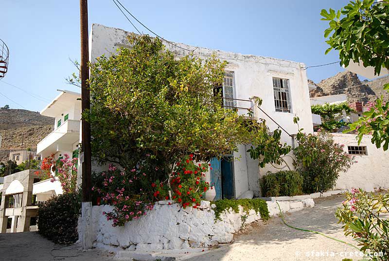 Photo report of a visit to Sfakia, Crete, May 2006 - part 2