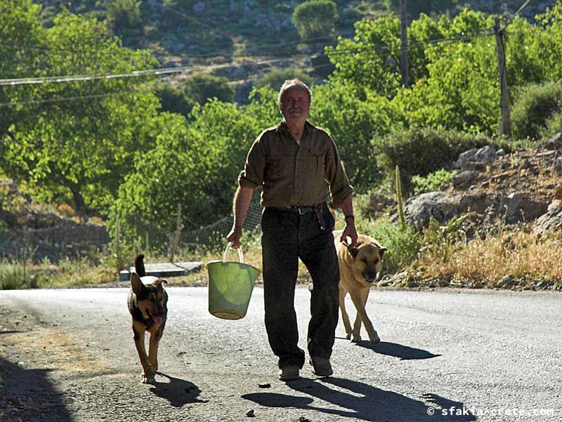 Photo report of a trip around southwest Crete, May 2006