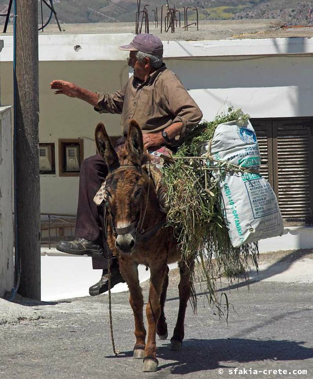 Photo report of a trip around southwest Crete, May 2006