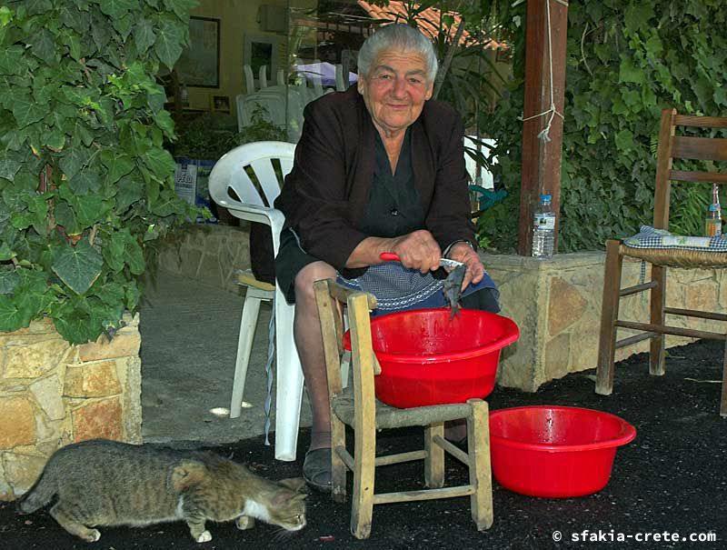 Photo report of a trip around southwest Crete, May 2006