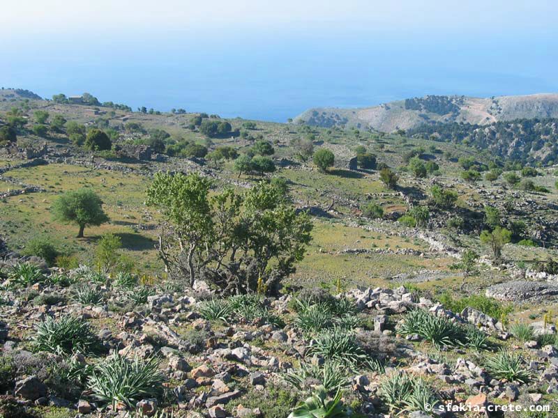 Photo report of a visit to Mouri village, Sfakia, Crete, April 2006