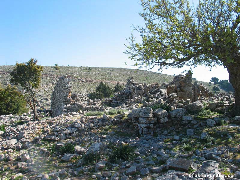 Photo report of a visit to Mouri village, Sfakia, Crete, April 2006