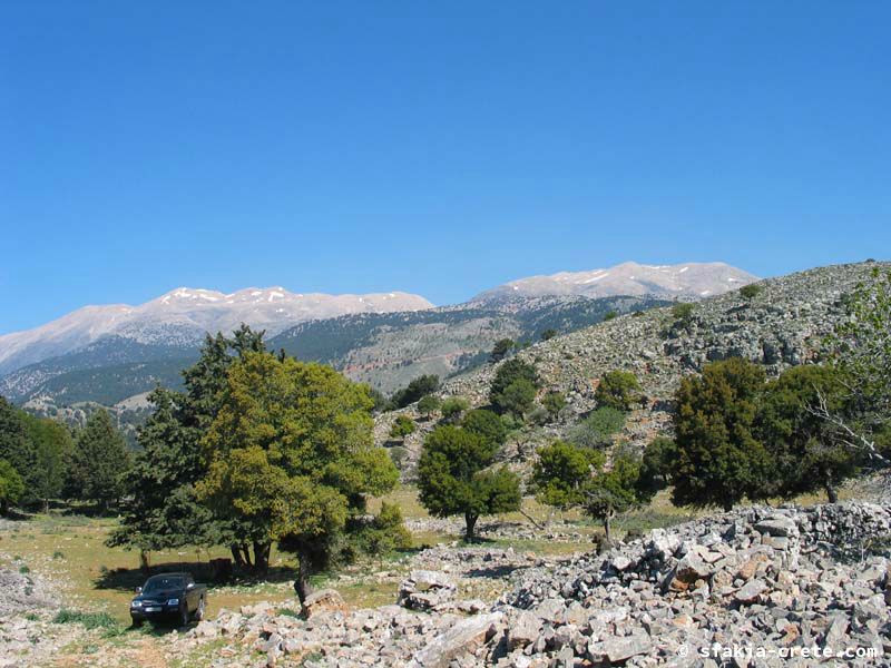 Photo report of a visit to Mouri village, Sfakia, Crete, April 2006