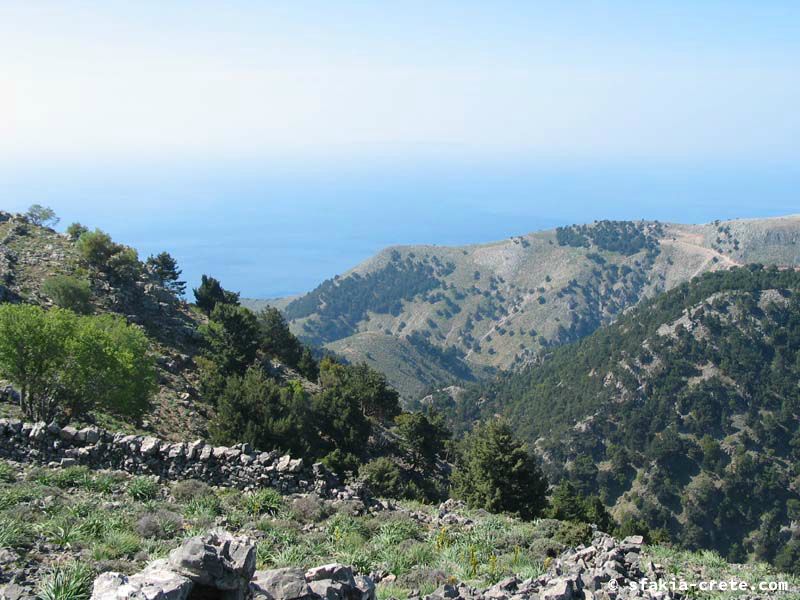 Photo report of a visit to Mouri village, Sfakia, Crete, April 2006