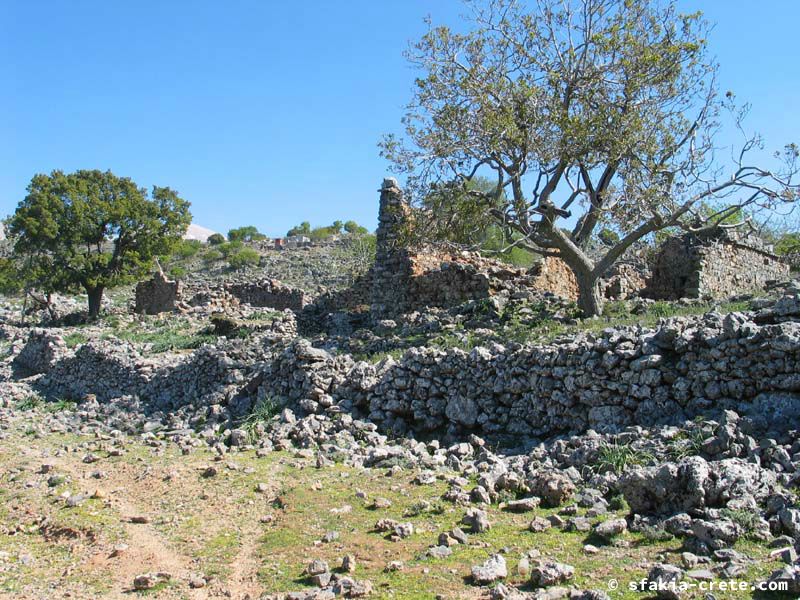 Photo report of a visit to Mouri village, Sfakia, Crete, April 2006