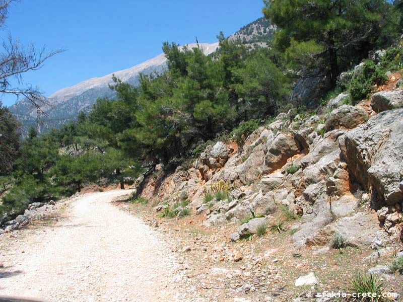 Photo report of a visit to Mouri village, Sfakia, Crete, April 2006