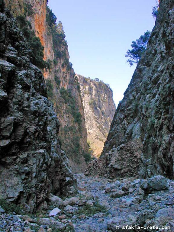 Photo report of walking around Sfakia, Crete, May 2005