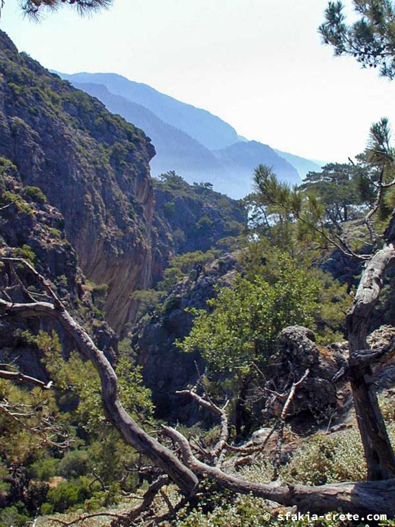 Photo report of walking around Sfakia, Crete, May 2005