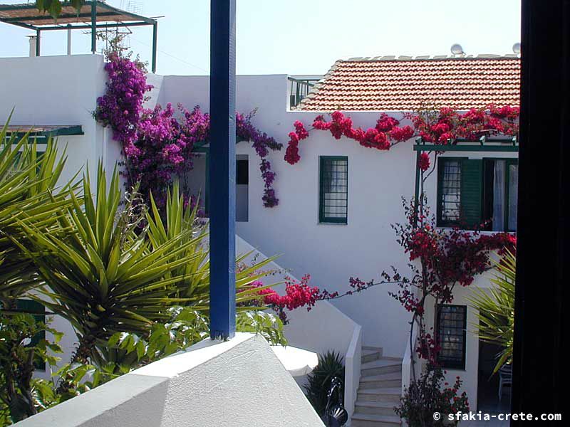 Photo report of walking around Sfakia, Crete, May 2005