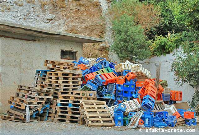 Photo report of around Sfakia, Crete, October 2005