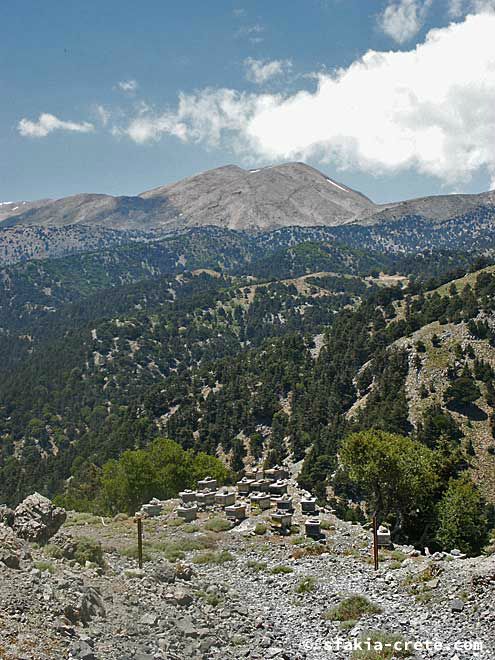 Photo report of walking around the mountains of Sfakia, Crete, May 2005, part 2