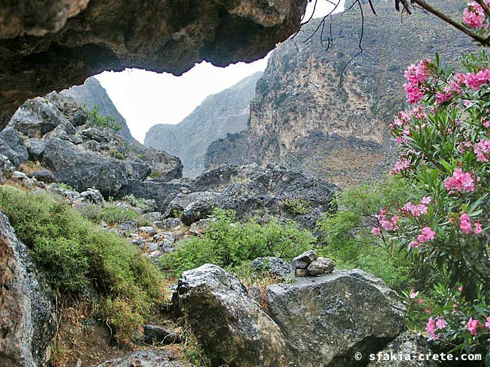 Photo report of walking around the mountains of Sfakia, Crete, May 2005, part 2