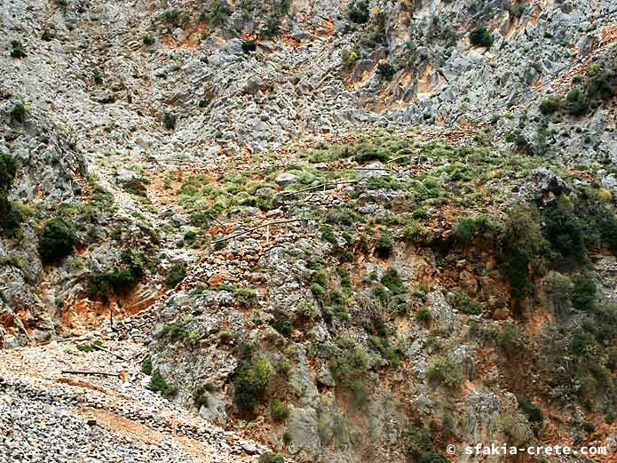 Photo report of walking around the mountains of Sfakia, Crete, May 2005, part 2