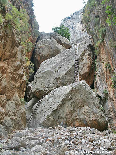 Photo report of walking around the mountains of Sfakia, Crete, May 2005, part 2