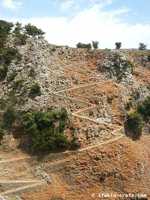 Photo report of walking around the mountains of Sfakia, Crete, May 2005, part 2