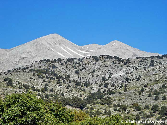 Photo report of walking around the mountains of Sfakia, Crete, May 2004