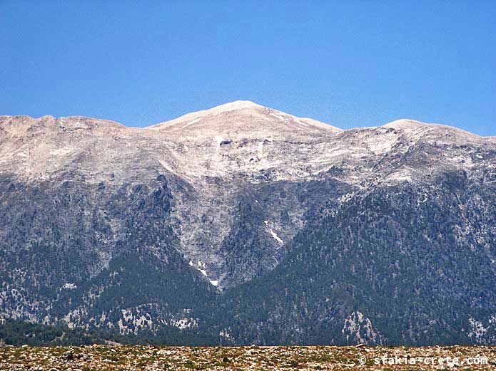 Photo report of walking around the mountains of Sfakia, Crete, May 2004