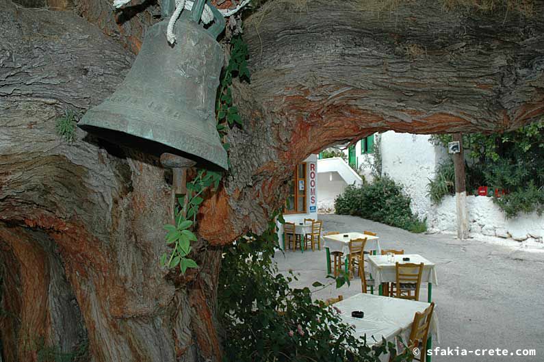 Photo report of around Sfakia, Crete, October 2005