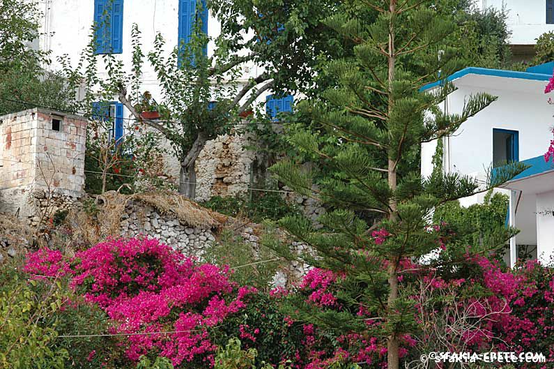 Photo report of around Sfakia, Crete, October 2005