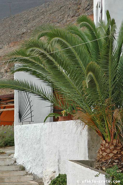 Photo report of around Sfakia, Crete, October 2005