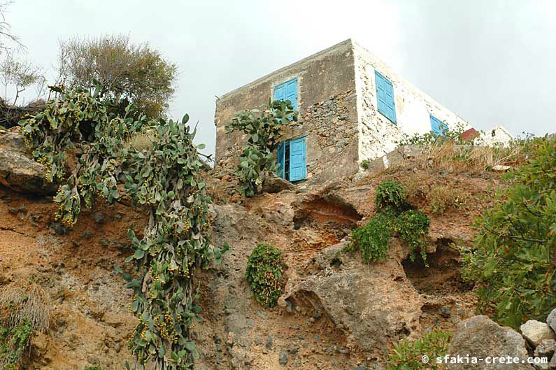 Photo report of around Sfakia, Crete, October 2005