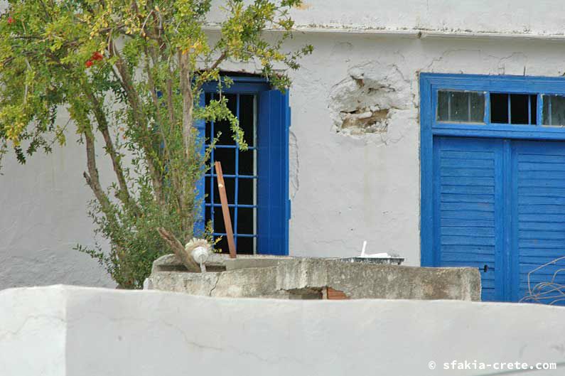 Photo report of around Sfakia, Crete, October 2005