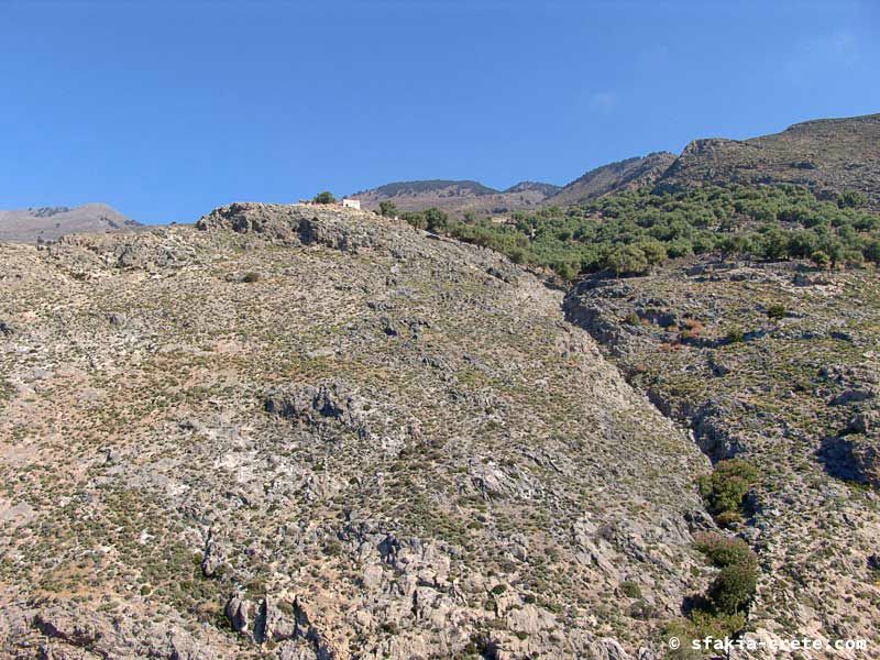 Photo report of around Sfakia, Crete, May 2005