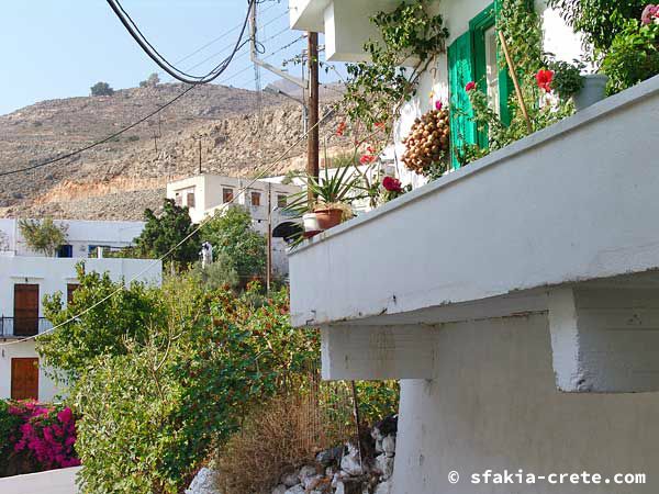 Photo report of around Sfakia, Crete, October 2004